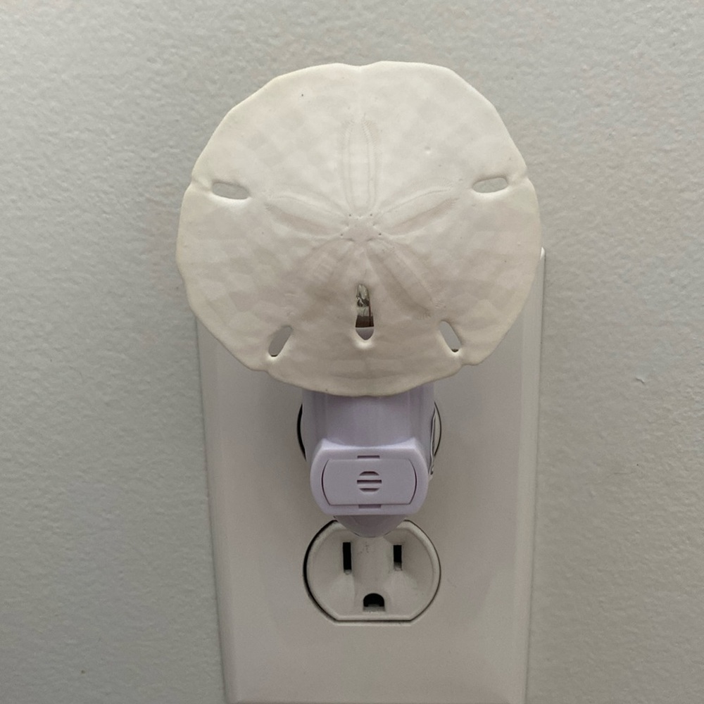 Sand Dollar auto on night light - Picture 2 of 8